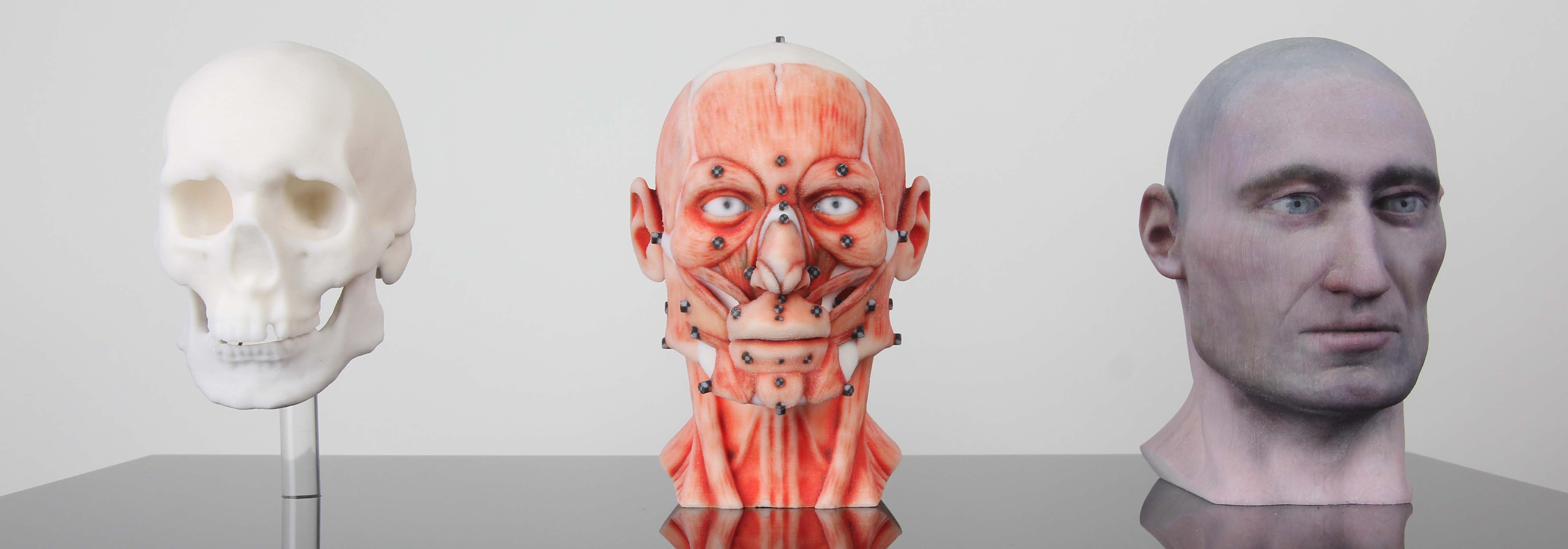Cranial facial reconstruction - European male skull scan 3D print model_5