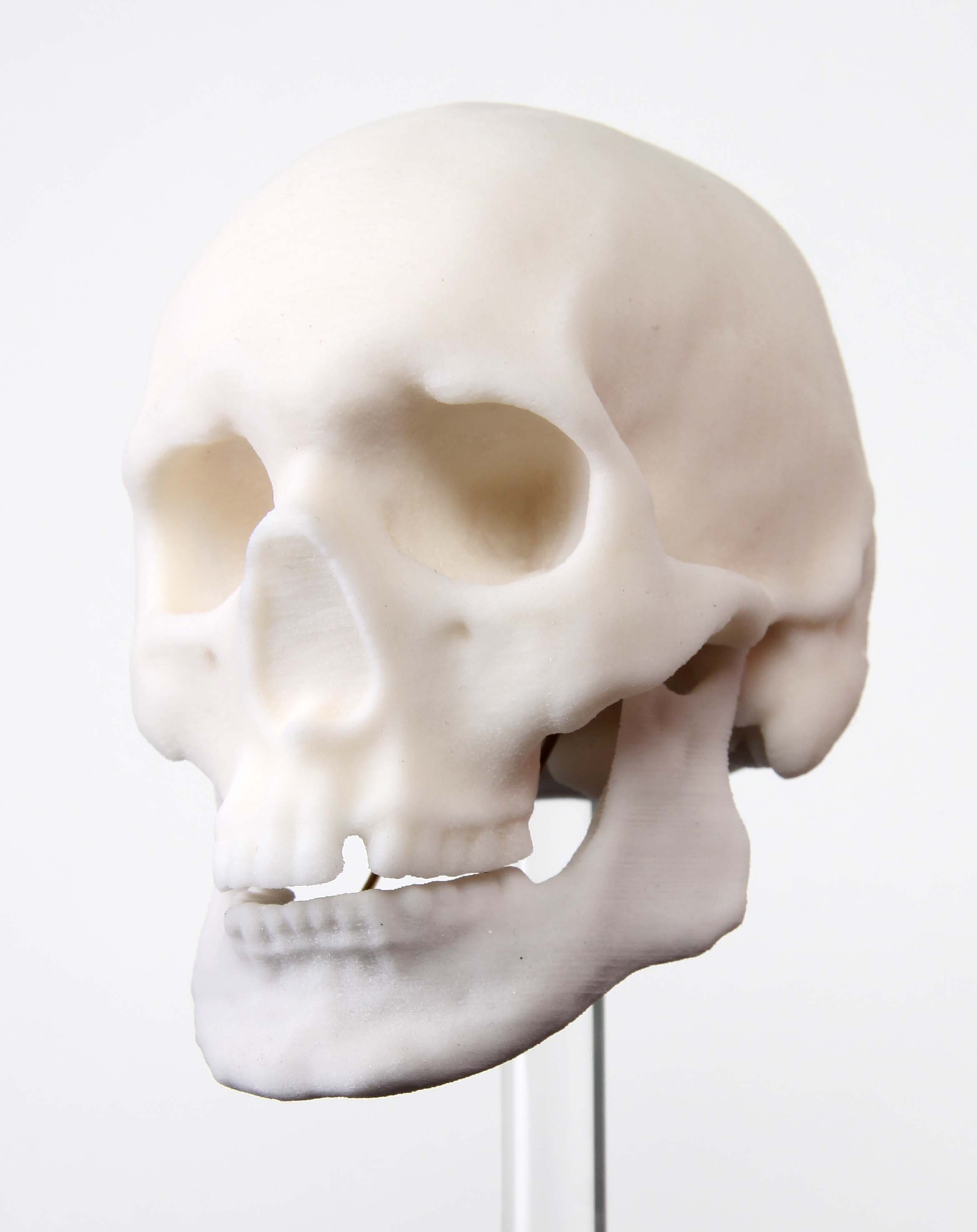 Cranial facial reconstruction - European male skull scan 3D print model_1