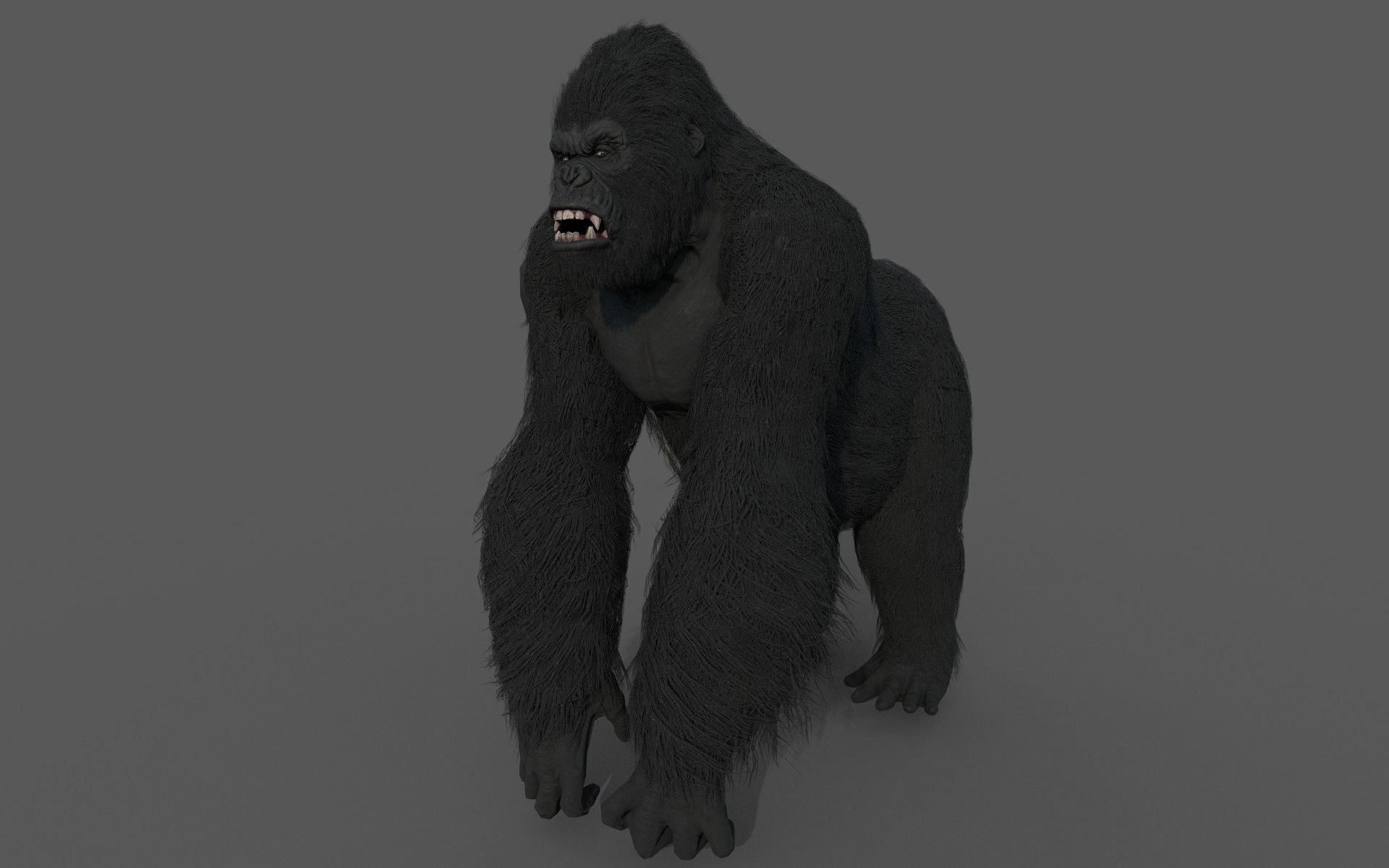 Realistic Gorilla  Face Rigged Game Ready Low-poly 3D model_3