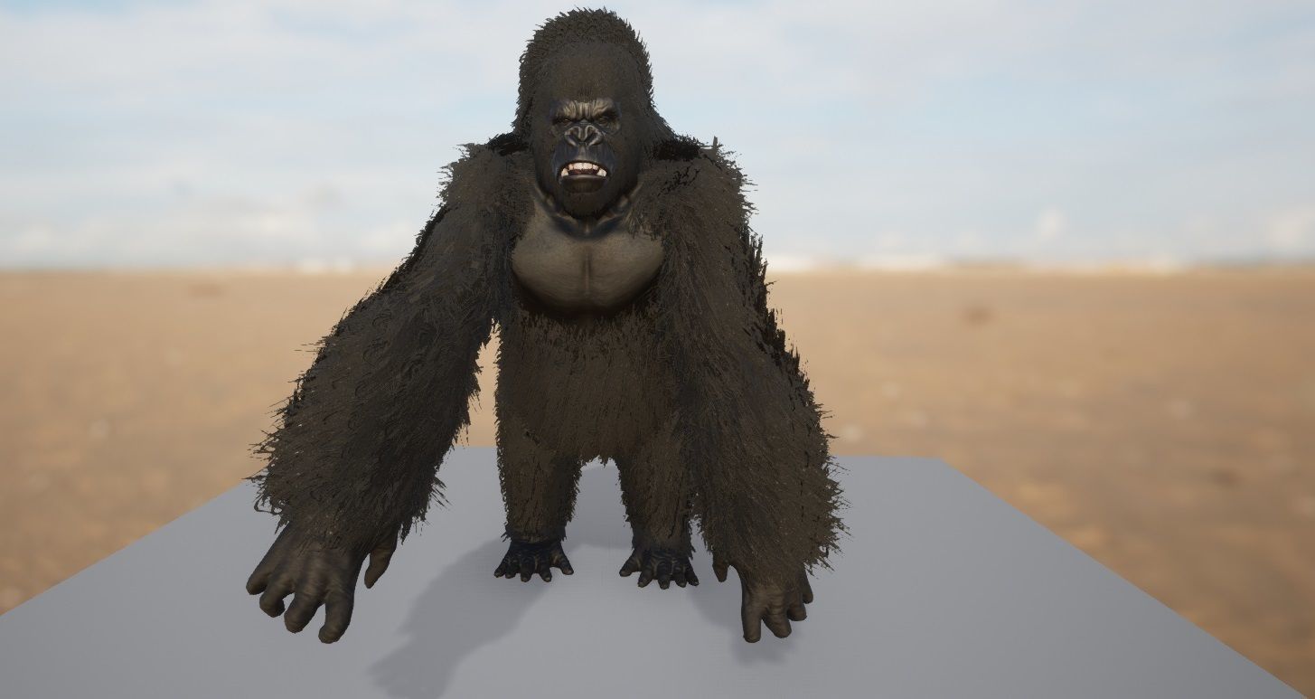 Realistic Gorilla  Face Rigged Game Ready Low-poly 3D model_11