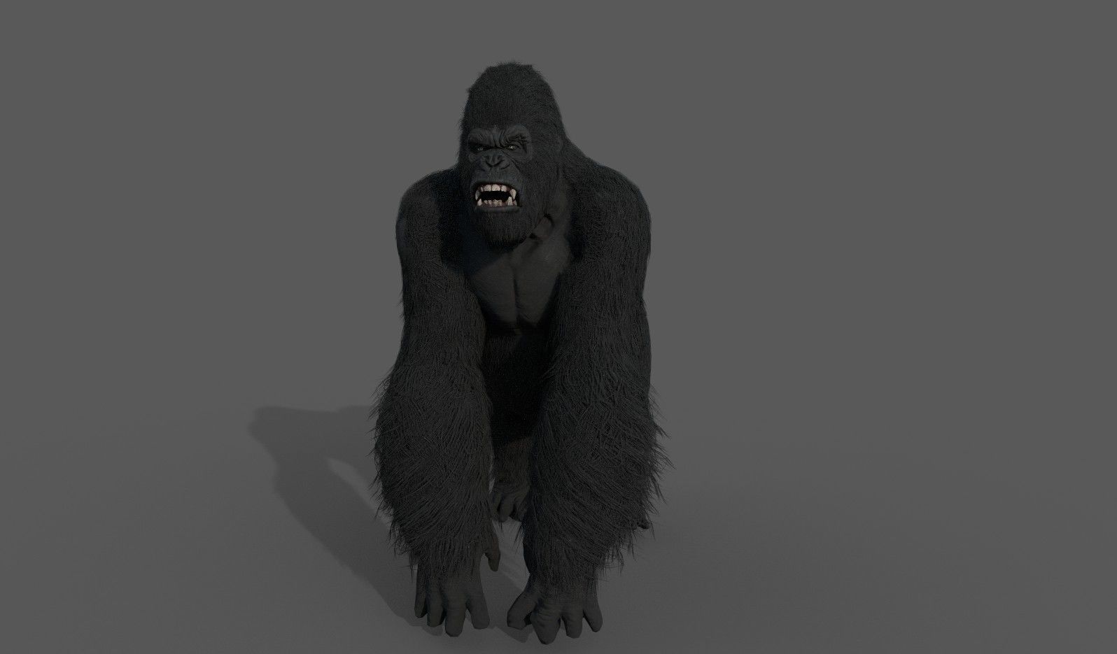 Realistic Gorilla  Face Rigged Game Ready Low-poly 3D model_2