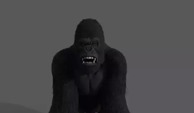 Realistic Gorilla  Face Rigged Game Ready Low-poly 3D model