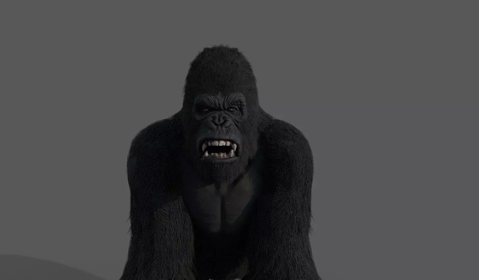 Realistic Gorilla  Face Rigged Game Ready Low-poly 3D model_0