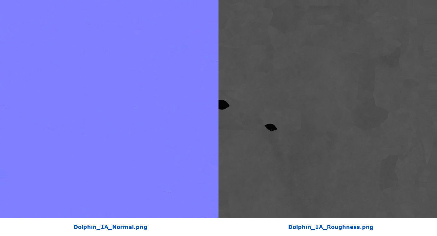 Dolphin 1A Low-poly 3D model_8