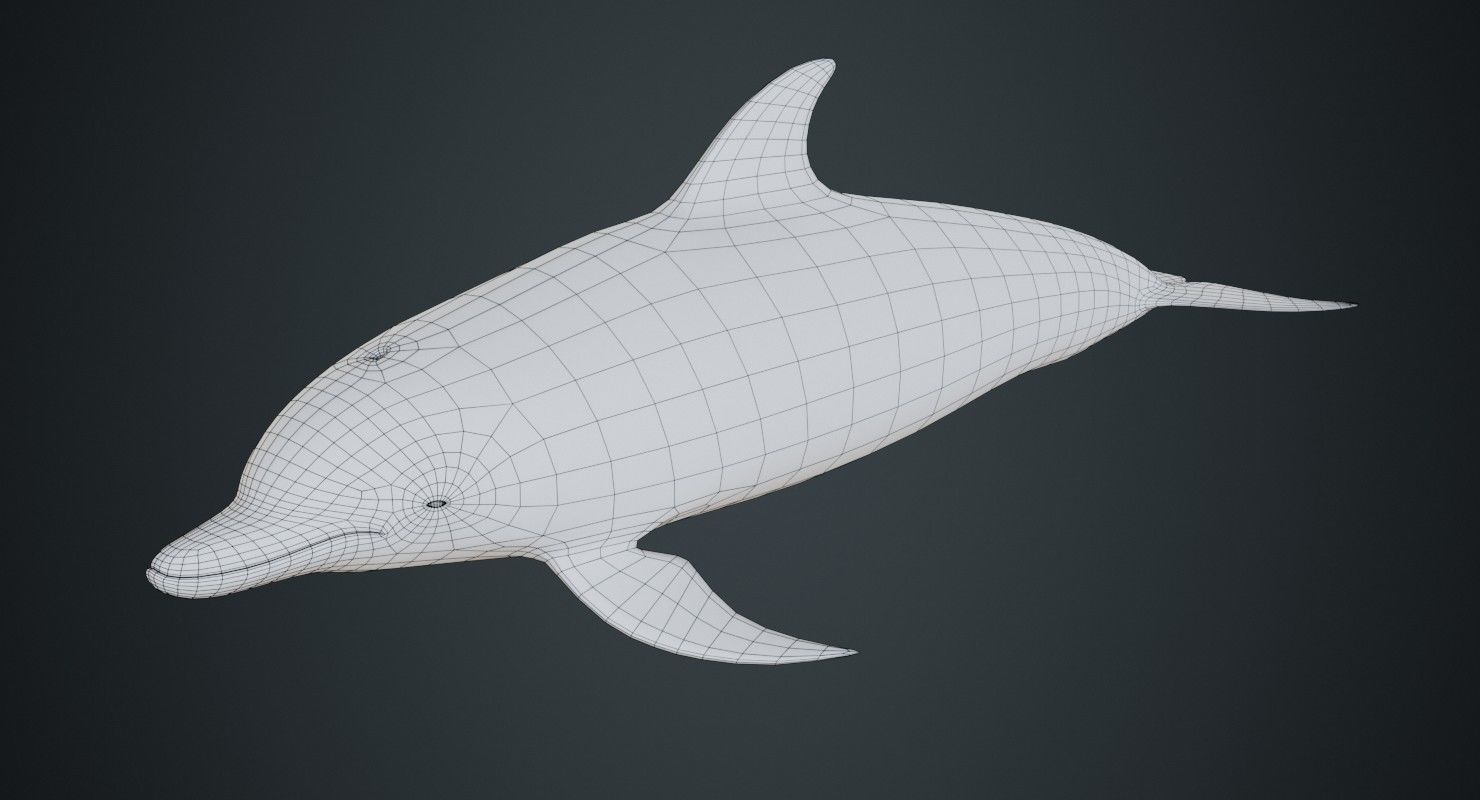 Dolphin 1B Low-poly 3D model_5
