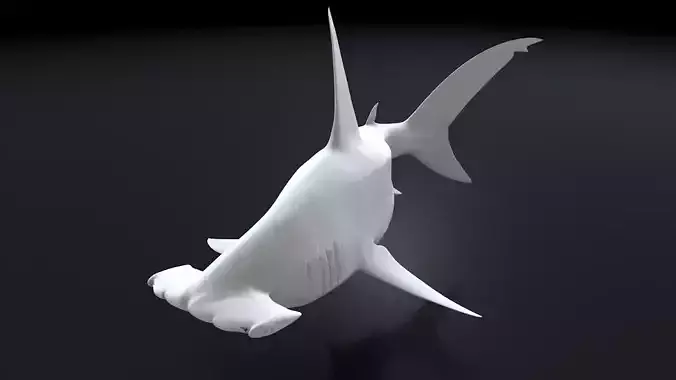 Great Hammerhead 3D Printable Model 3D print model