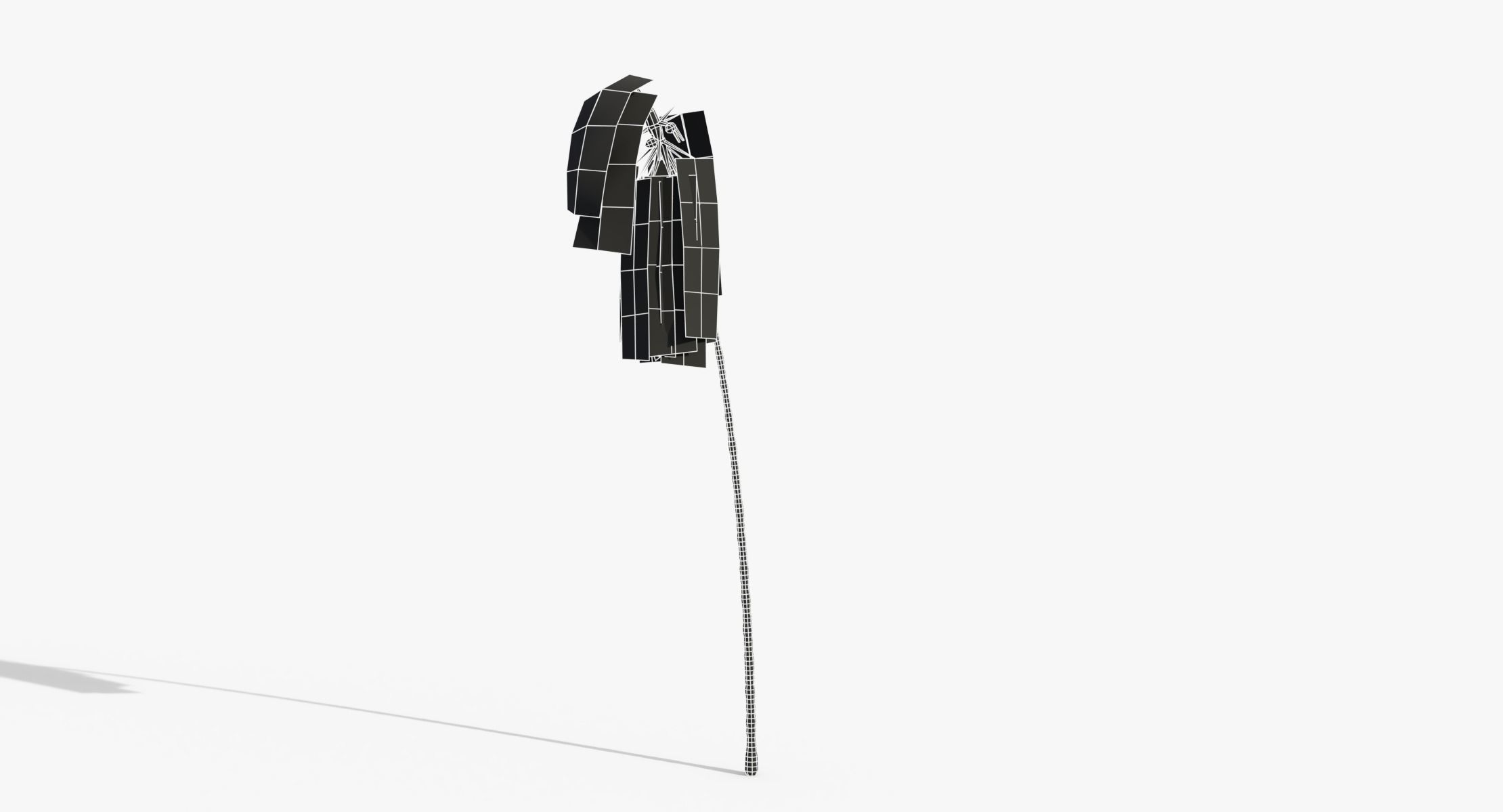 Coconut Palm Tree - Asset 3572H15 Low-poly 3D model_16