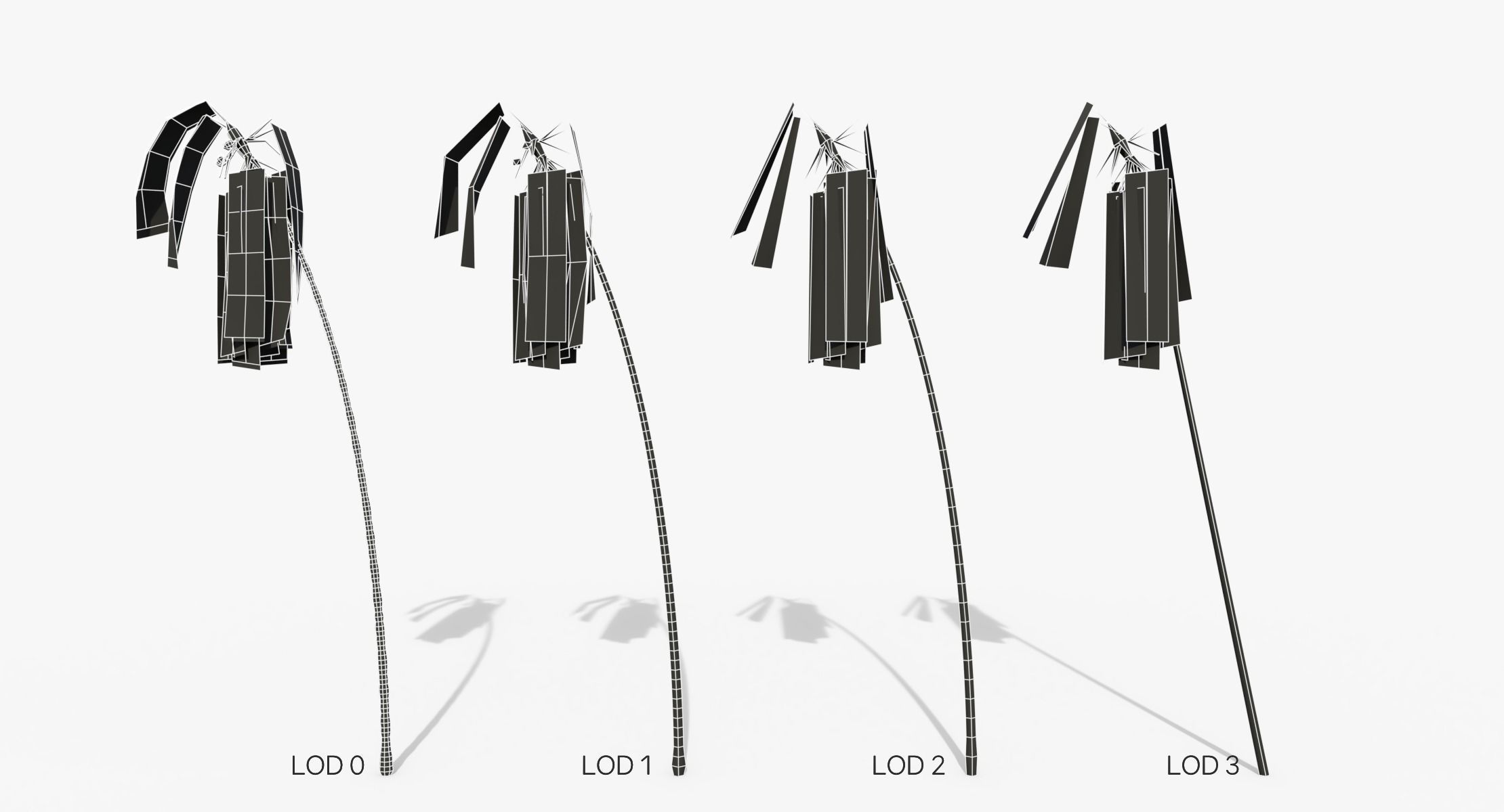 Coconut Palm Tree - Asset 3572H15 Low-poly 3D model_2