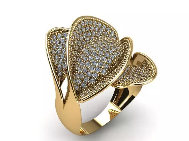 Fancy Ring 3D print model_0