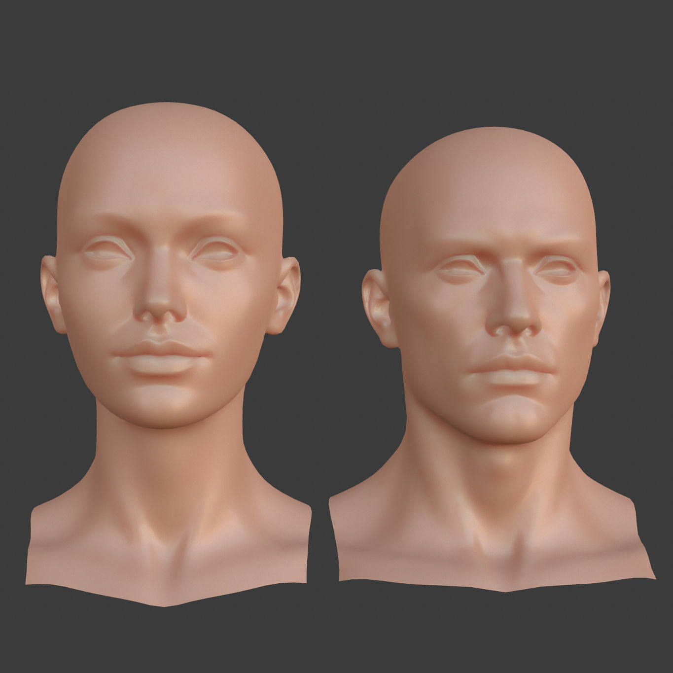 Character - Female Head Base Mesh Blendshape Low-poly 3D model_13