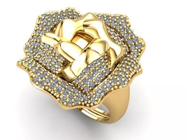Fancy Ring 3D print model_0