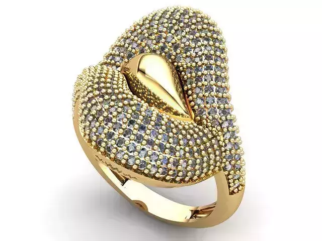 Fancy Ring 3D print model