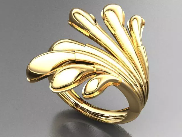 Fancy Ring 3D print model_0