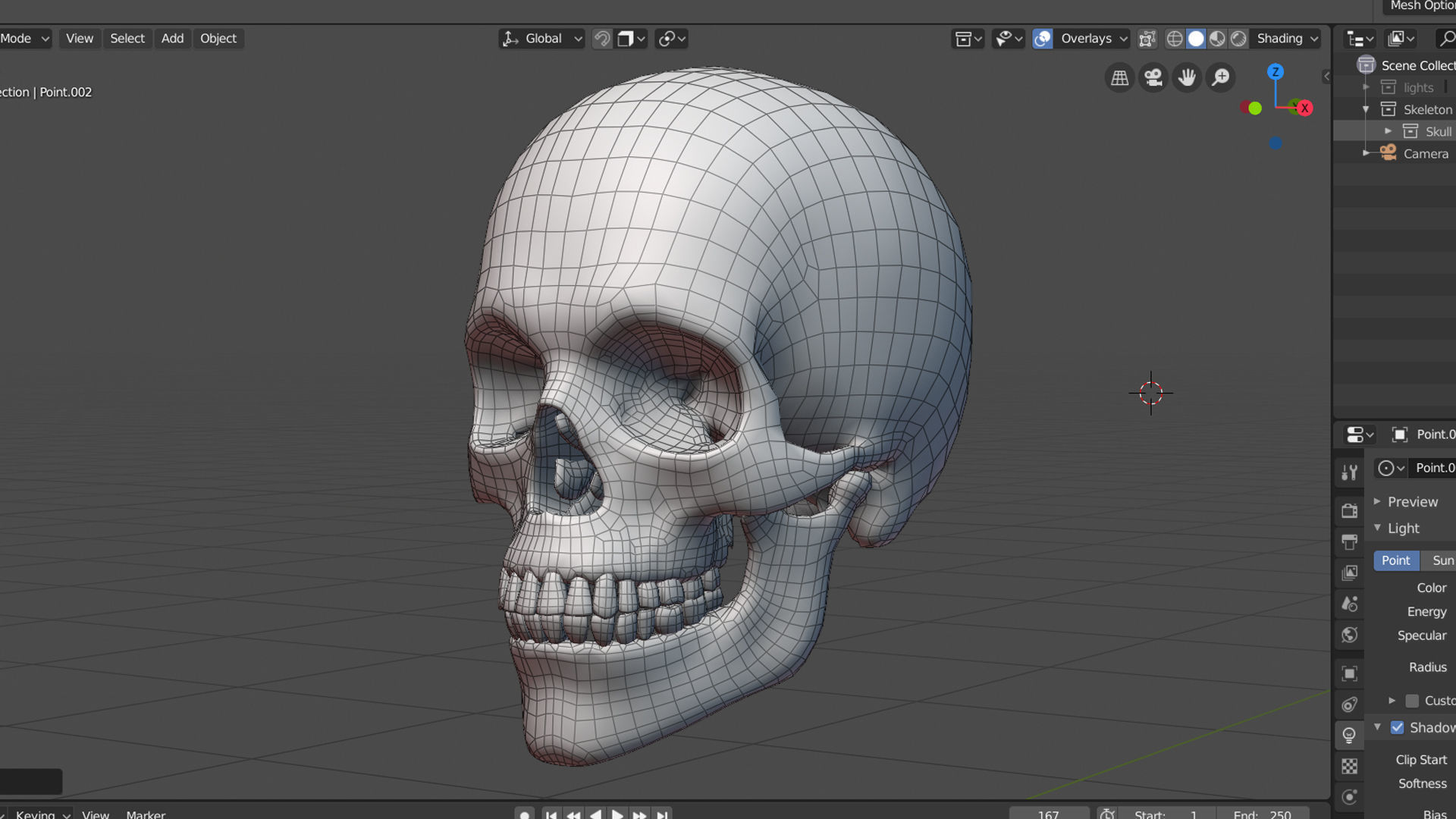 Skull human showing front and back view Low-poly 3D model_3