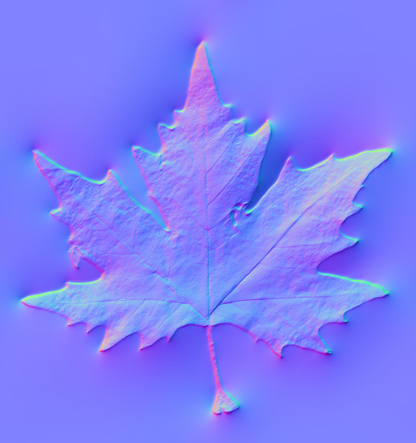Photorealistic Leaves - Volume 2 3D model_4