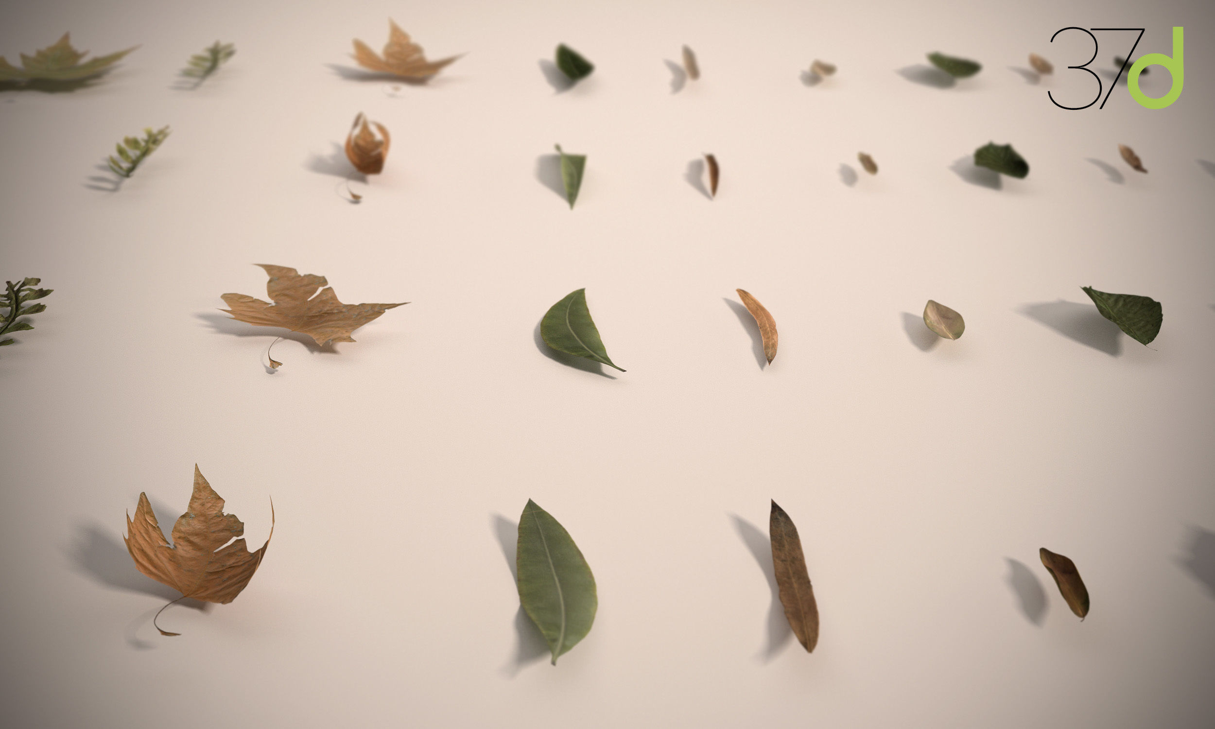 Photorealistic Leaves - Volume 2 3D model_2