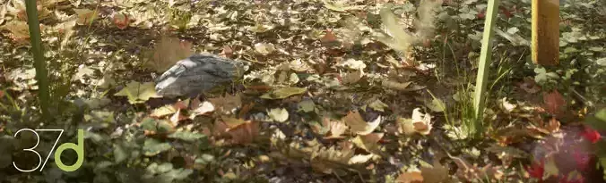 Photorealistic Leaves - Volume 2