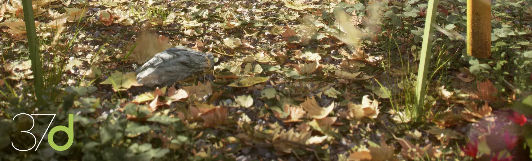 Photorealistic Leaves - Volume 2 3D model_0