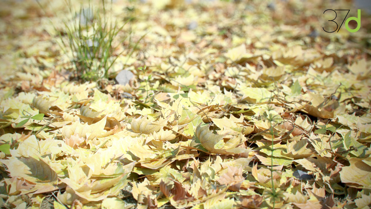 Photorealistic Ground Set  3D model_1