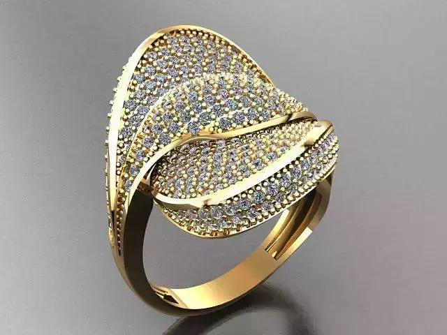 Fancy Ring 3D print model