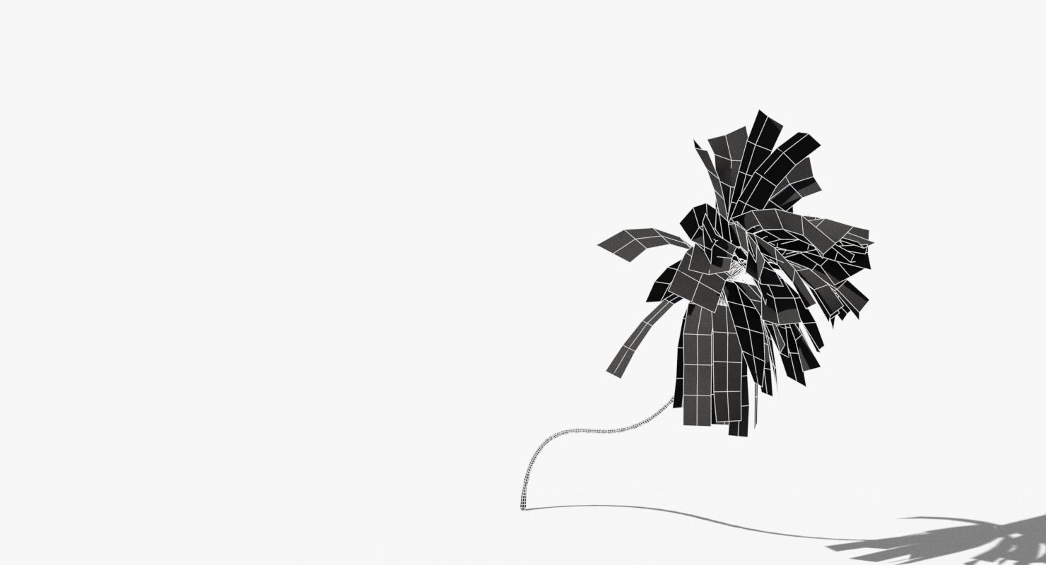 Coconut Palm Tree 10218 Low-poly 3D model_11