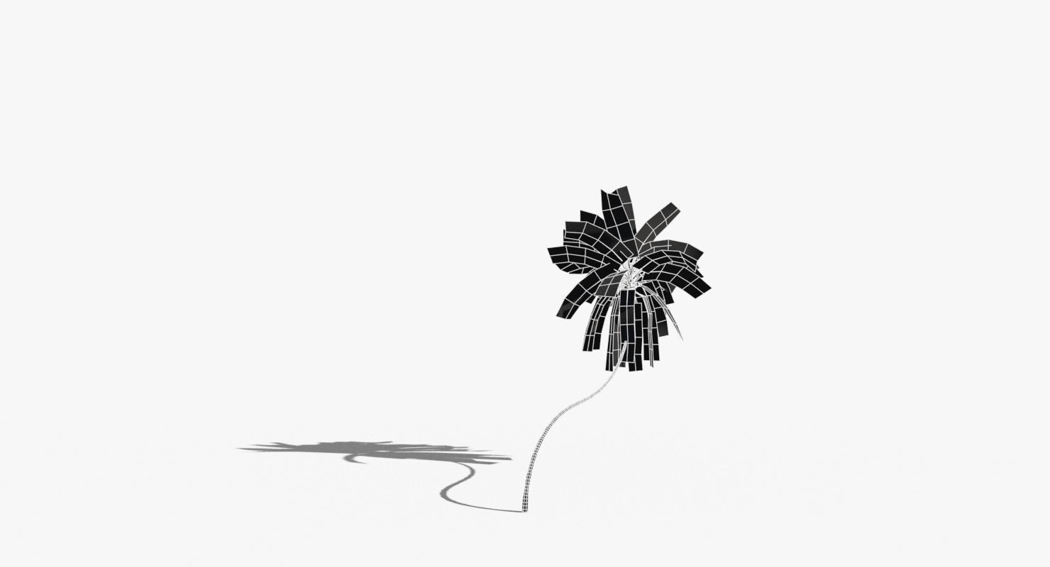 Coconut Palm Tree 10218 Low-poly 3D model_14