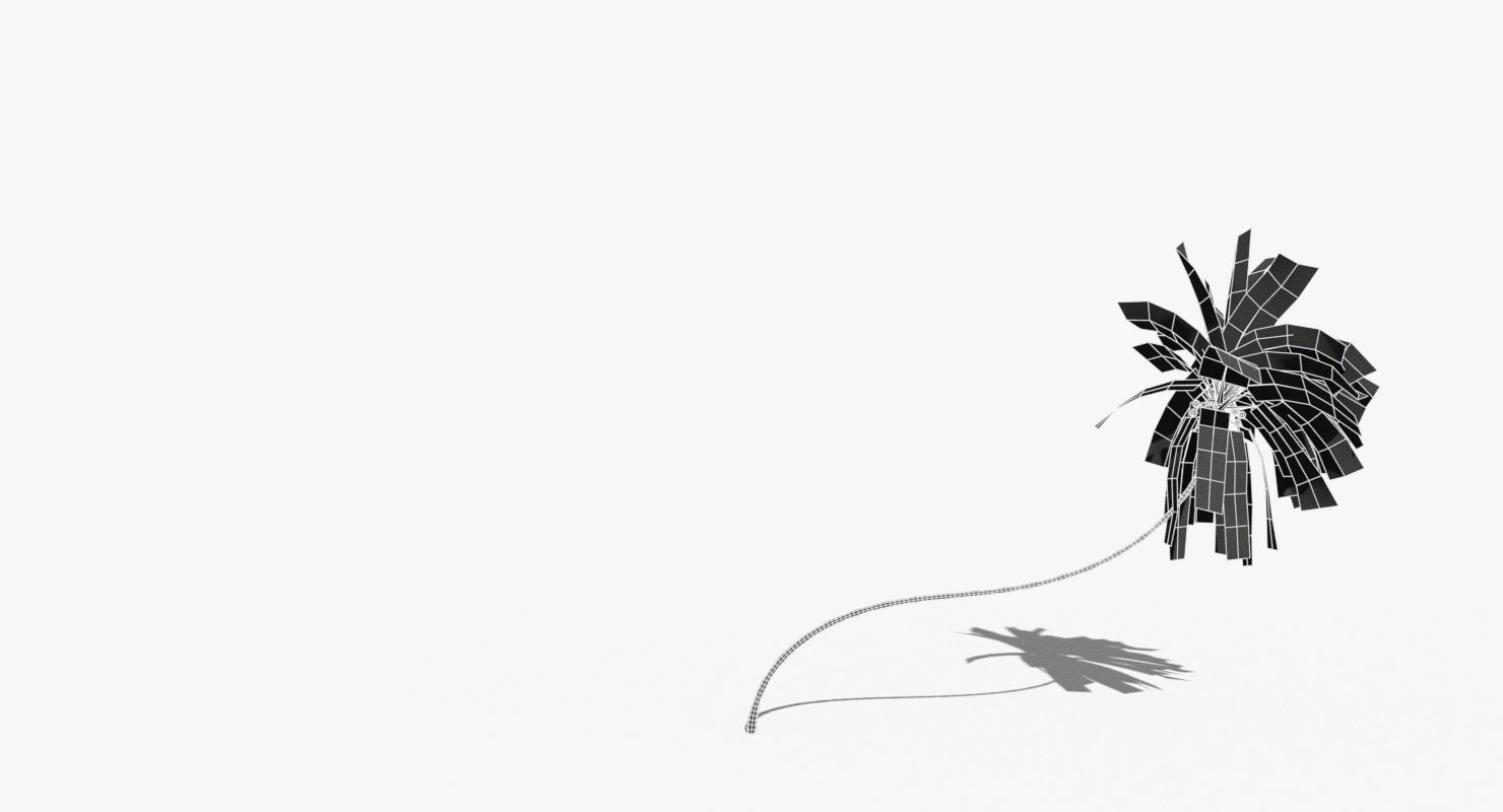 Coconut Palm Tree 10218 Low-poly 3D model_9