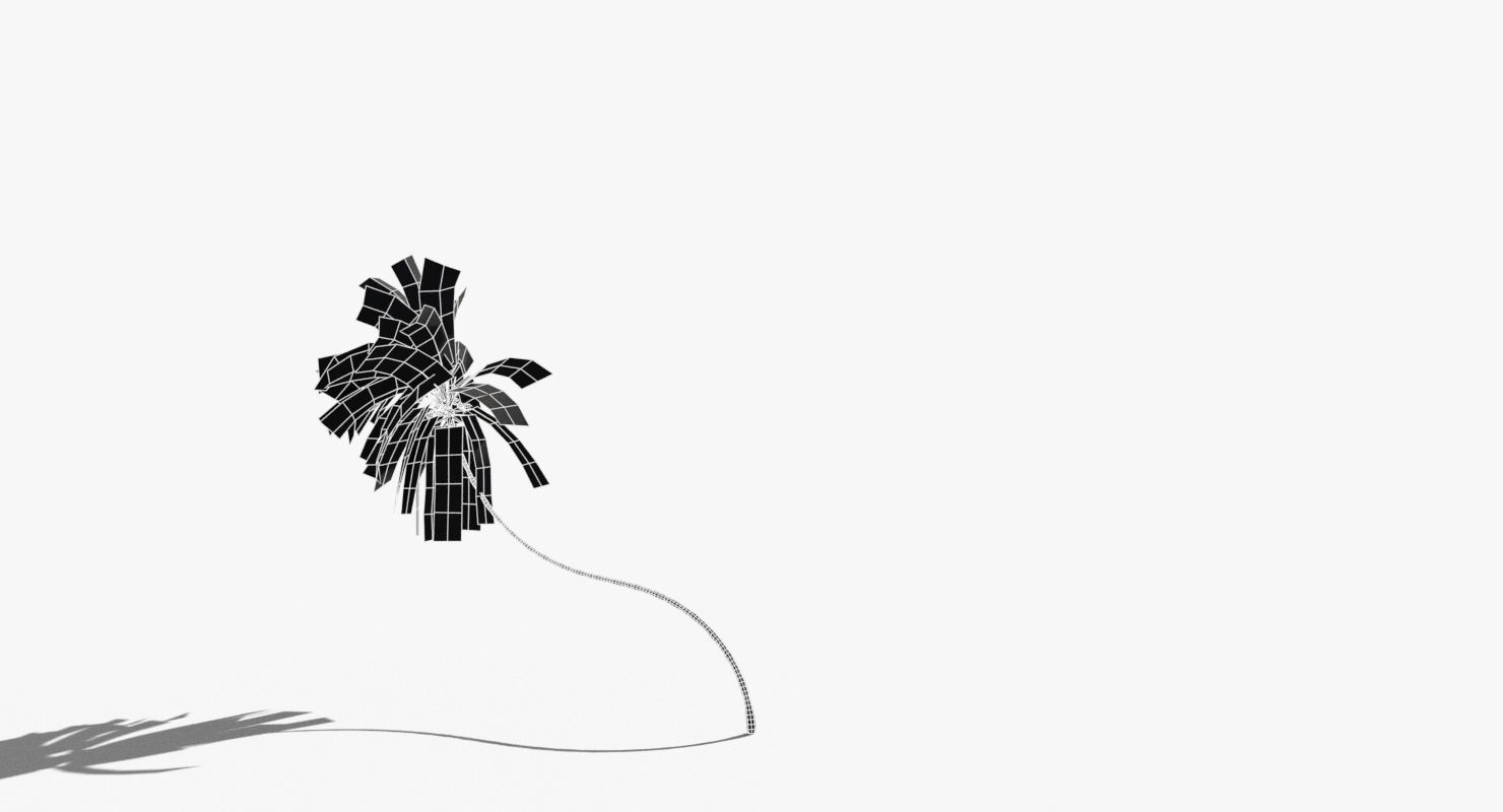 Coconut Palm Tree 10218 Low-poly 3D model_13