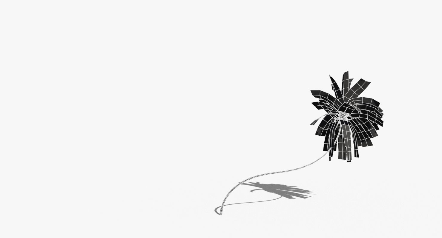 Coconut Palm Tree 10218 Low-poly 3D model_15