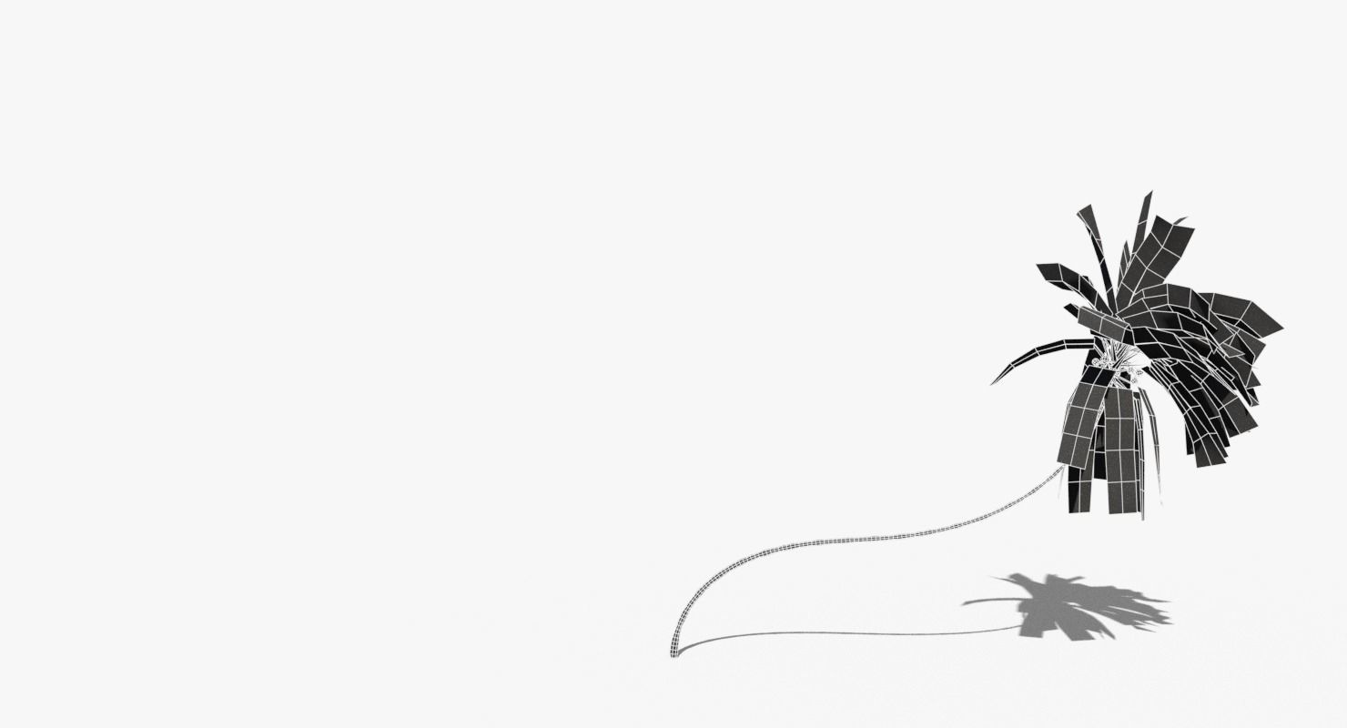 Coconut Palm Tree 10218 Low-poly 3D model_10