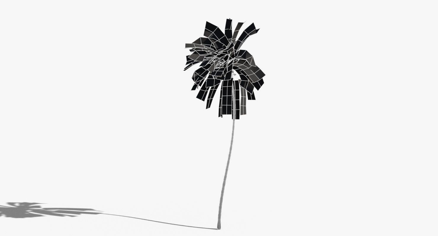 Coconut Palm Tree 10708 Low-poly 3D model_14