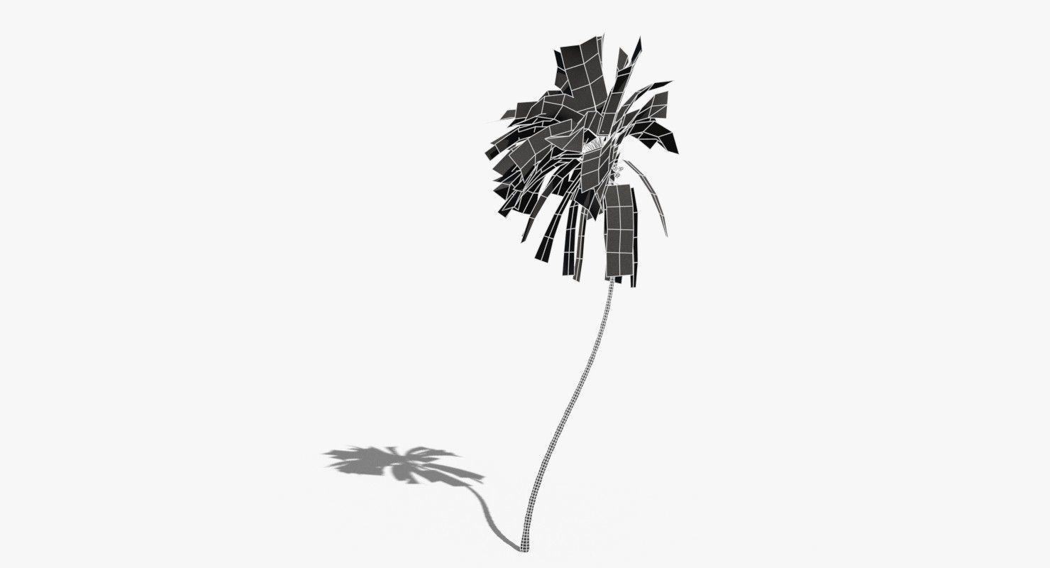 Coconut Palm Tree 10708 Low-poly 3D model_15