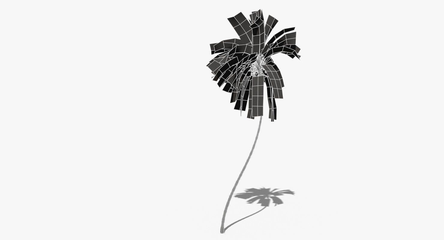 Coconut Palm Tree 10708 Low-poly 3D model_10