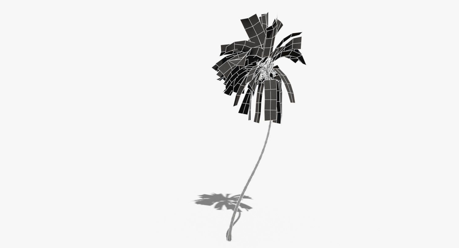 Coconut Palm Tree 10708 Low-poly 3D model_9