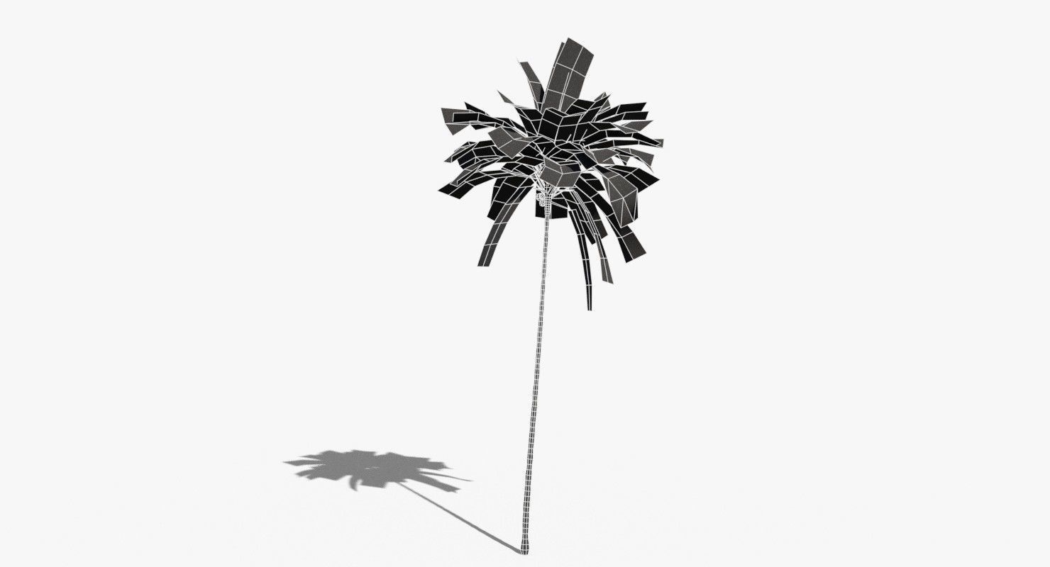 Coconut Palm Tree 19400 Low-poly 3D model_15