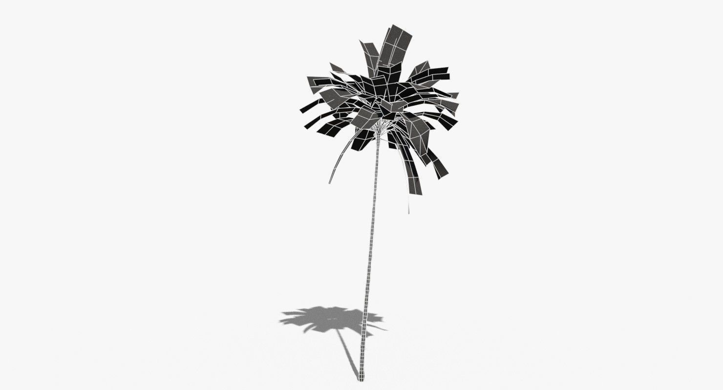 Coconut Palm Tree 19400 Low-poly 3D model_9