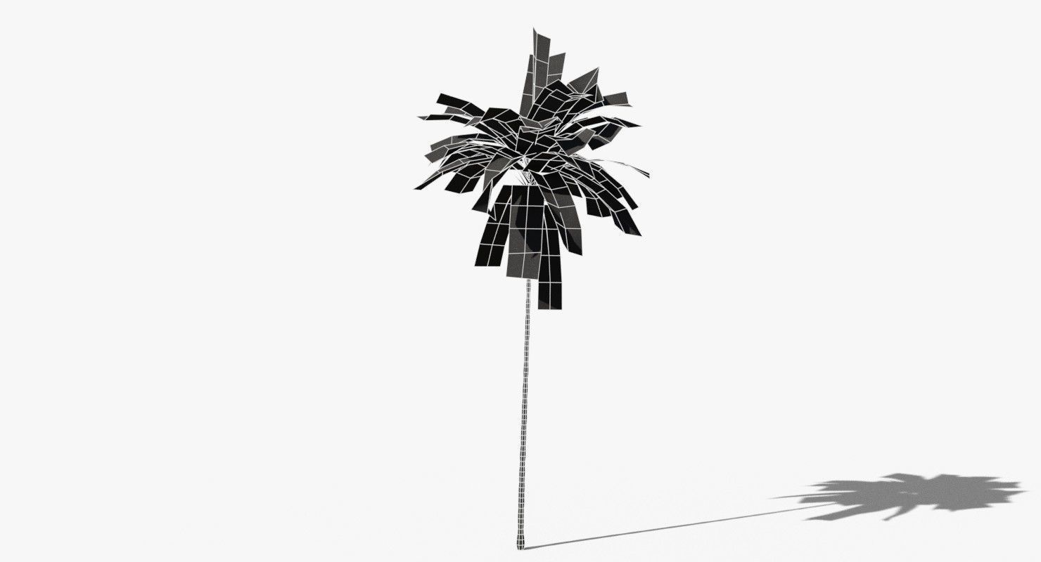 Coconut Palm Tree 19400 Low-poly 3D model_11