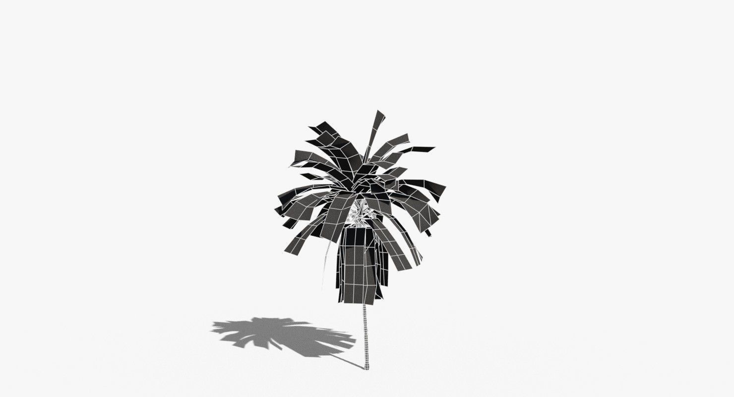 Coconut Palm Tree 21166 Low-poly 3D model_15
