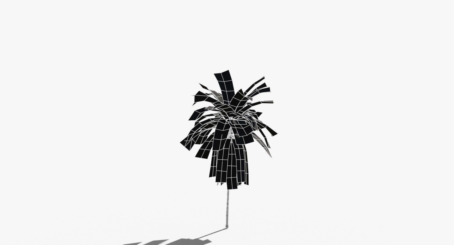 Coconut Palm Tree 21166 Low-poly 3D model_13