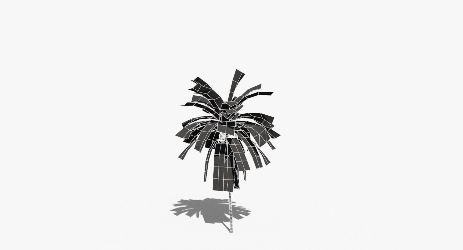 Coconut Palm Tree 21166 Low-poly 3D model_9