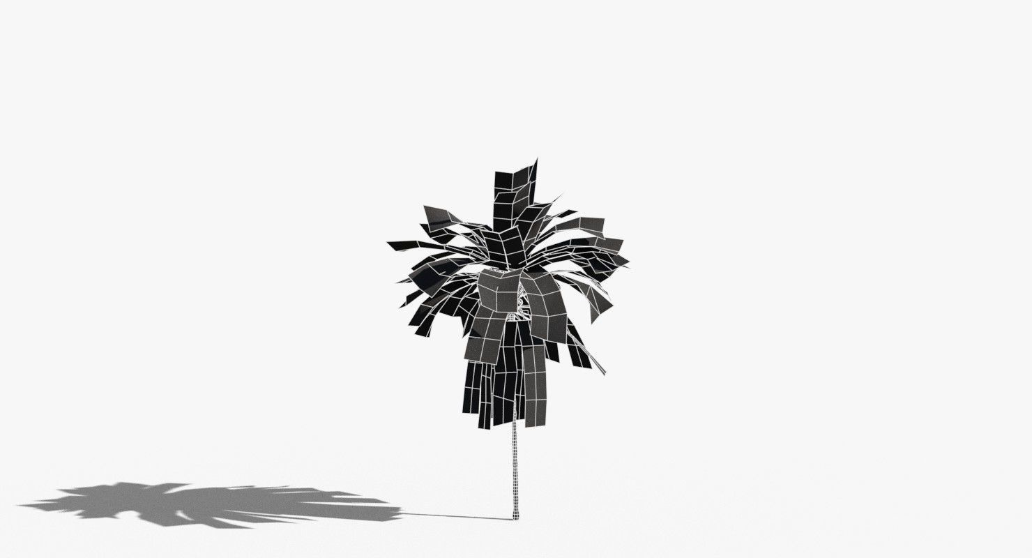 Coconut Palm Tree 21166 Low-poly 3D model_14