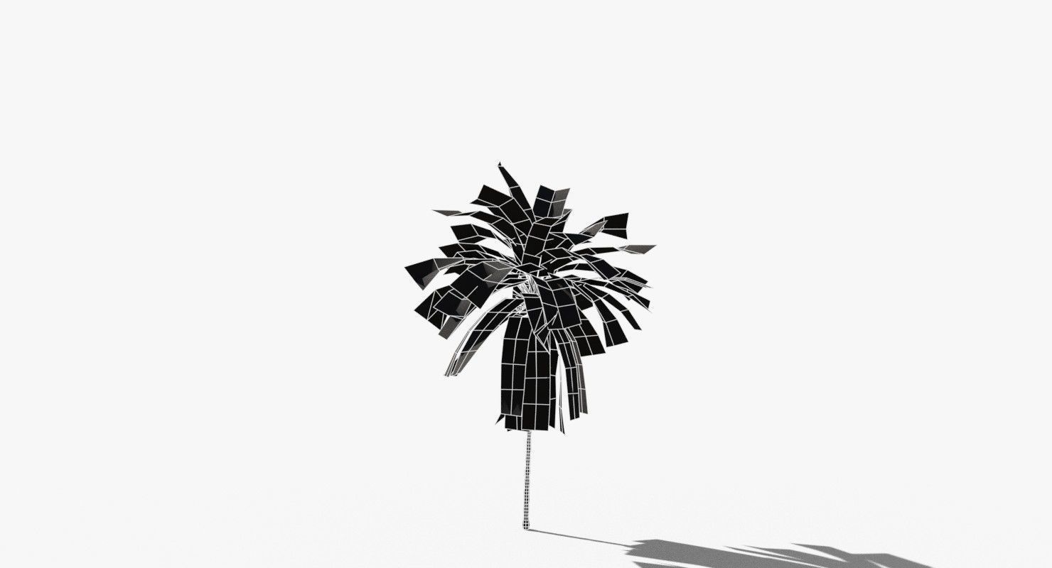 Coconut Palm Tree 21166 Low-poly 3D model_12