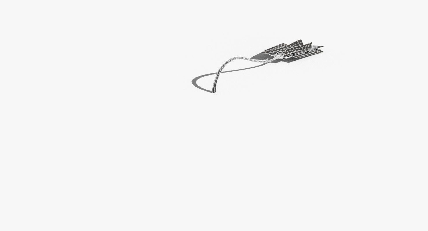 Coconut Palm Tree 23915 Low-poly 3D model_15