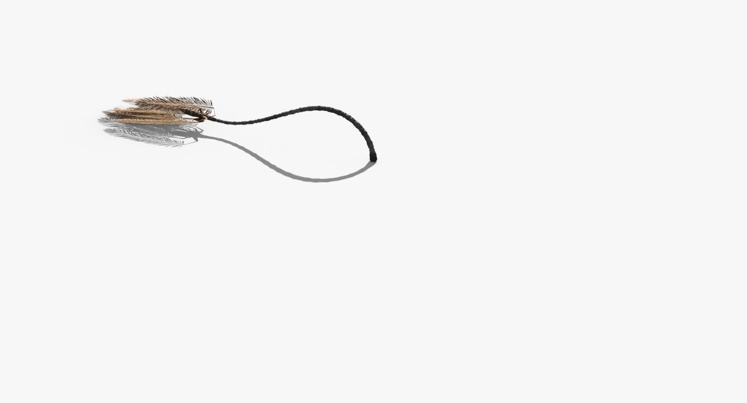 Coconut Palm Tree 23915 Low-poly 3D model_6