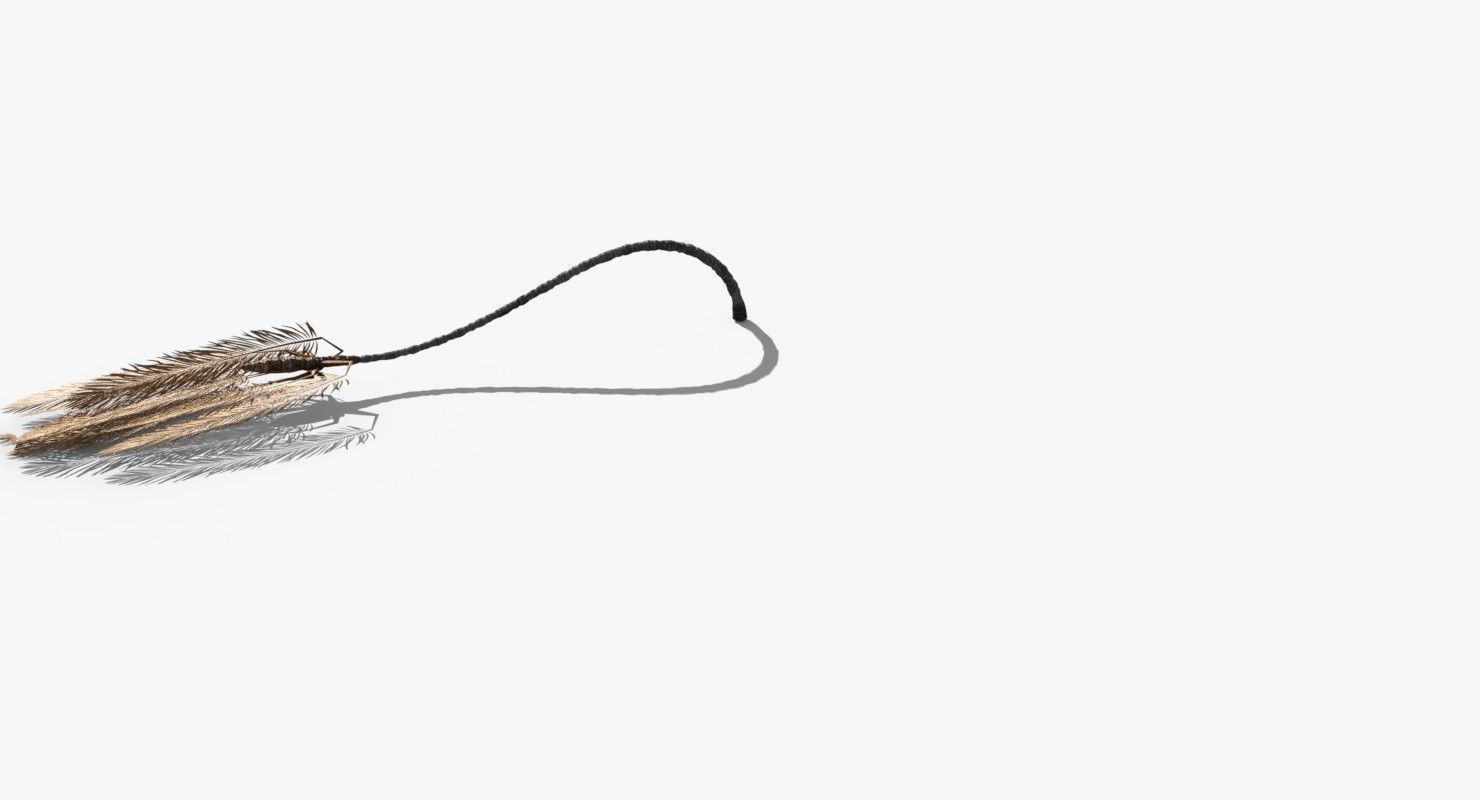 Coconut Palm Tree 23915 Low-poly 3D model_5