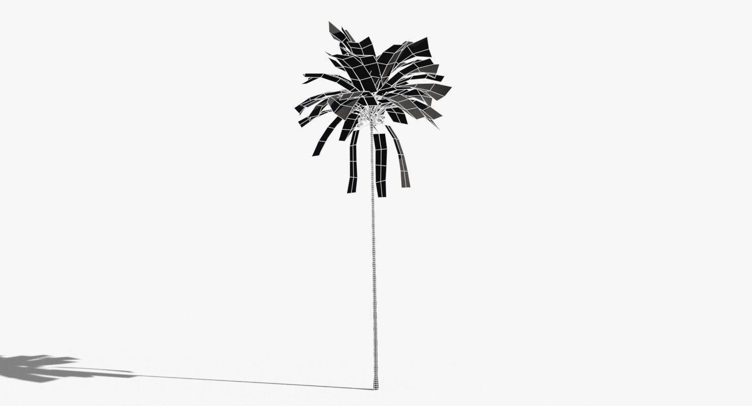 Coconut Palm Tree 30505 Low-poly 3D model_14
