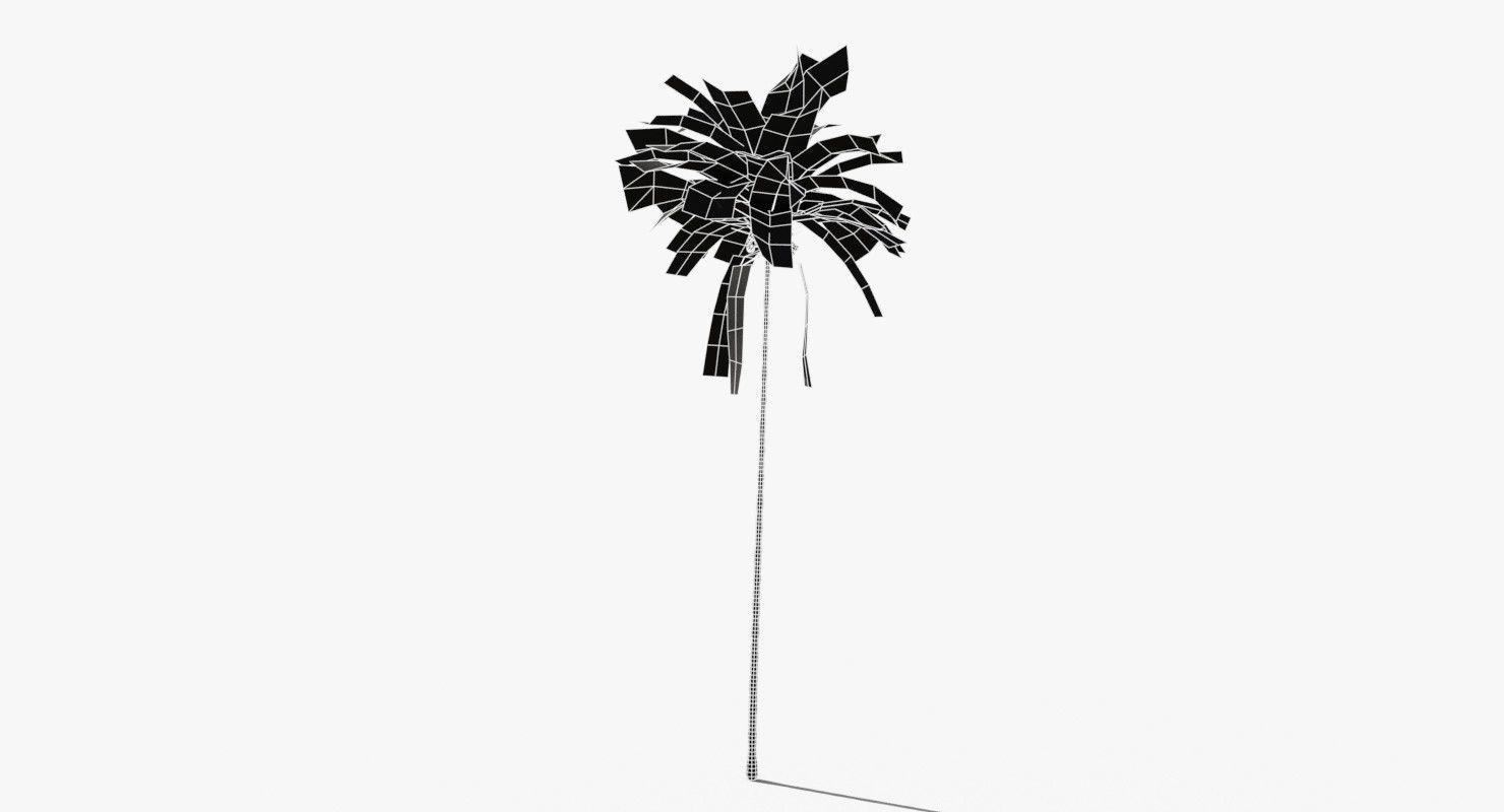 Coconut Palm Tree 30505 Low-poly 3D model_12
