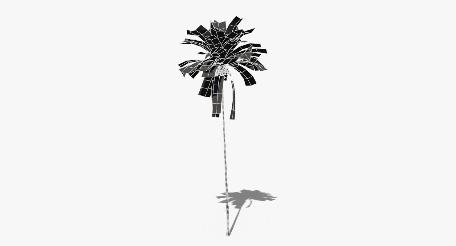 Coconut Palm Tree 30505 Low-poly 3D model_10