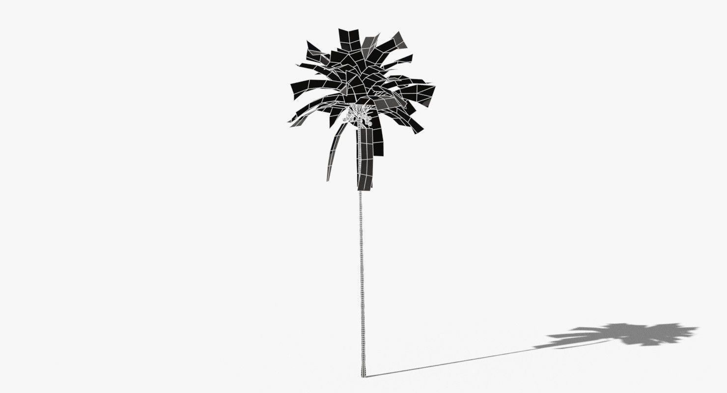 Coconut Palm Tree 30505 Low-poly 3D model_11