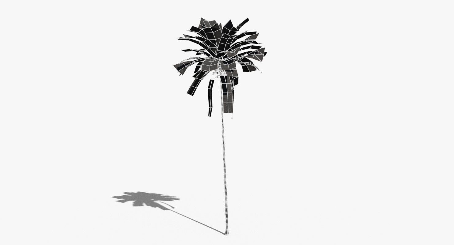 Coconut Palm Tree 30505 Low-poly 3D model_15